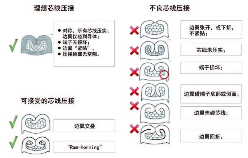 1591697167513384.jpg 640 (6).jpg